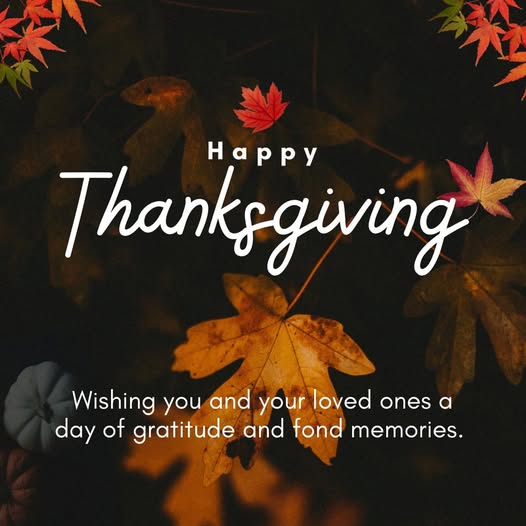 Happy Thanksgiving!
