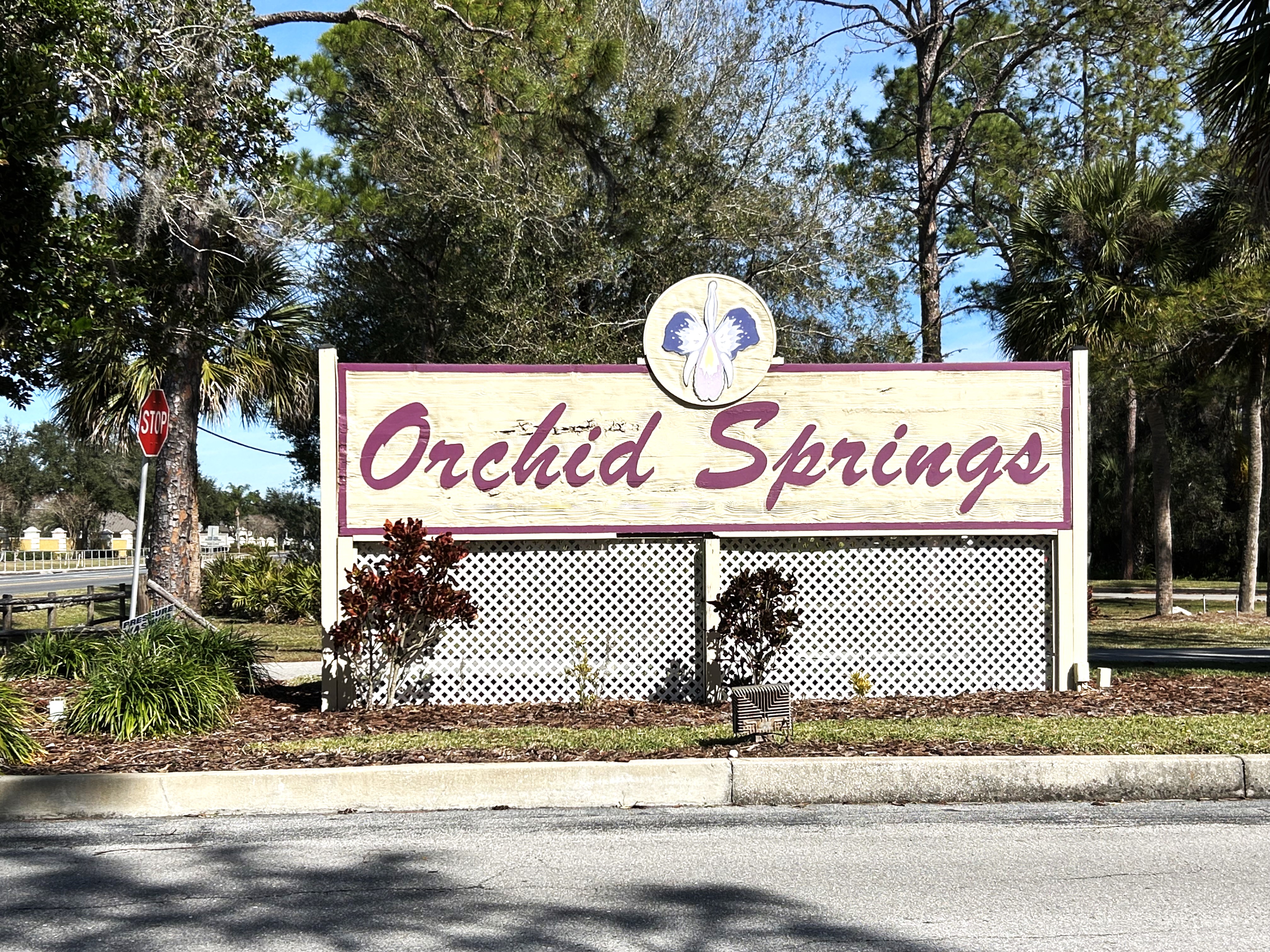 Weekly Community Focus! Welcome to Orchid Springs!