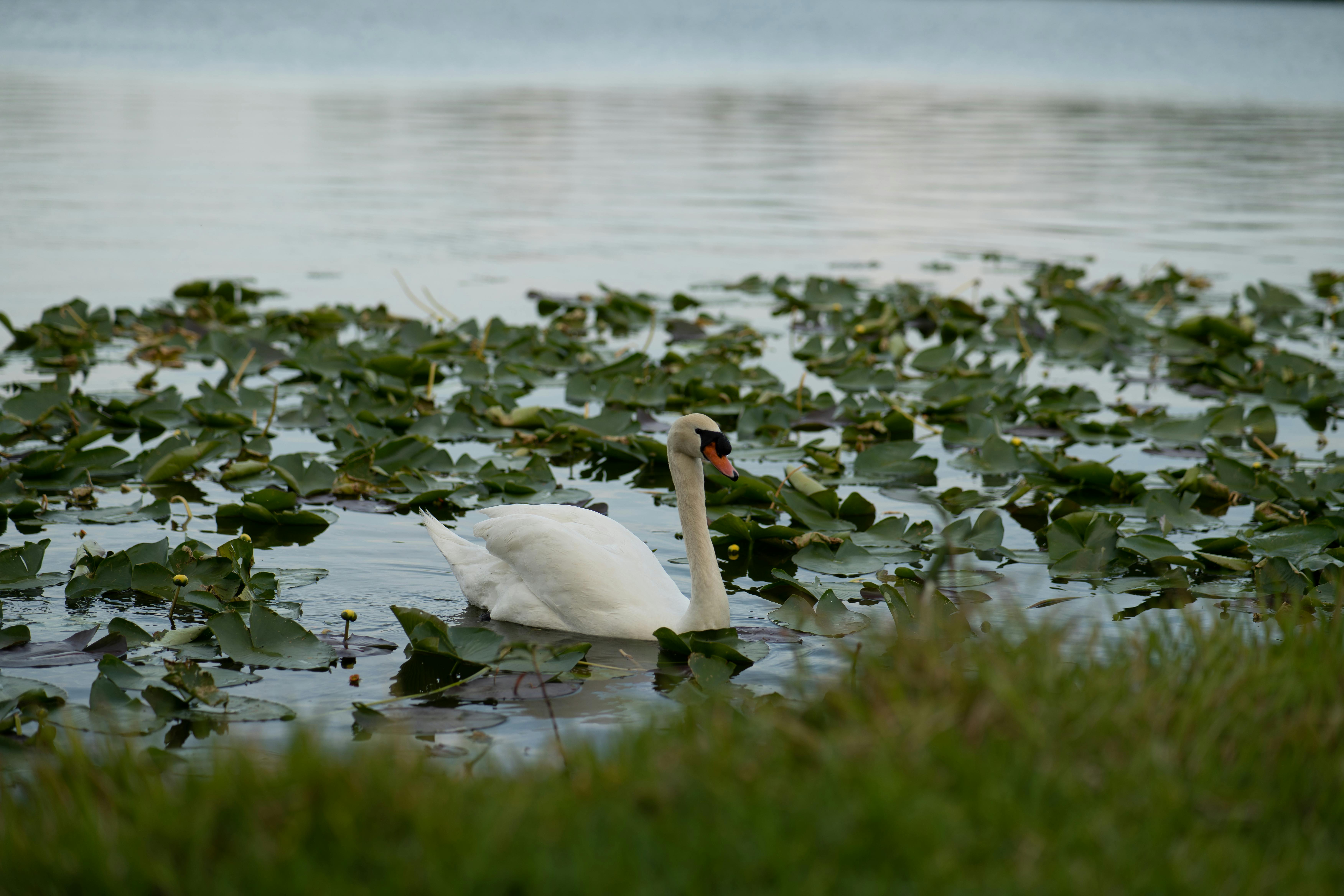 Check out Mayfair By The Lake on Mothers Day Weekend!