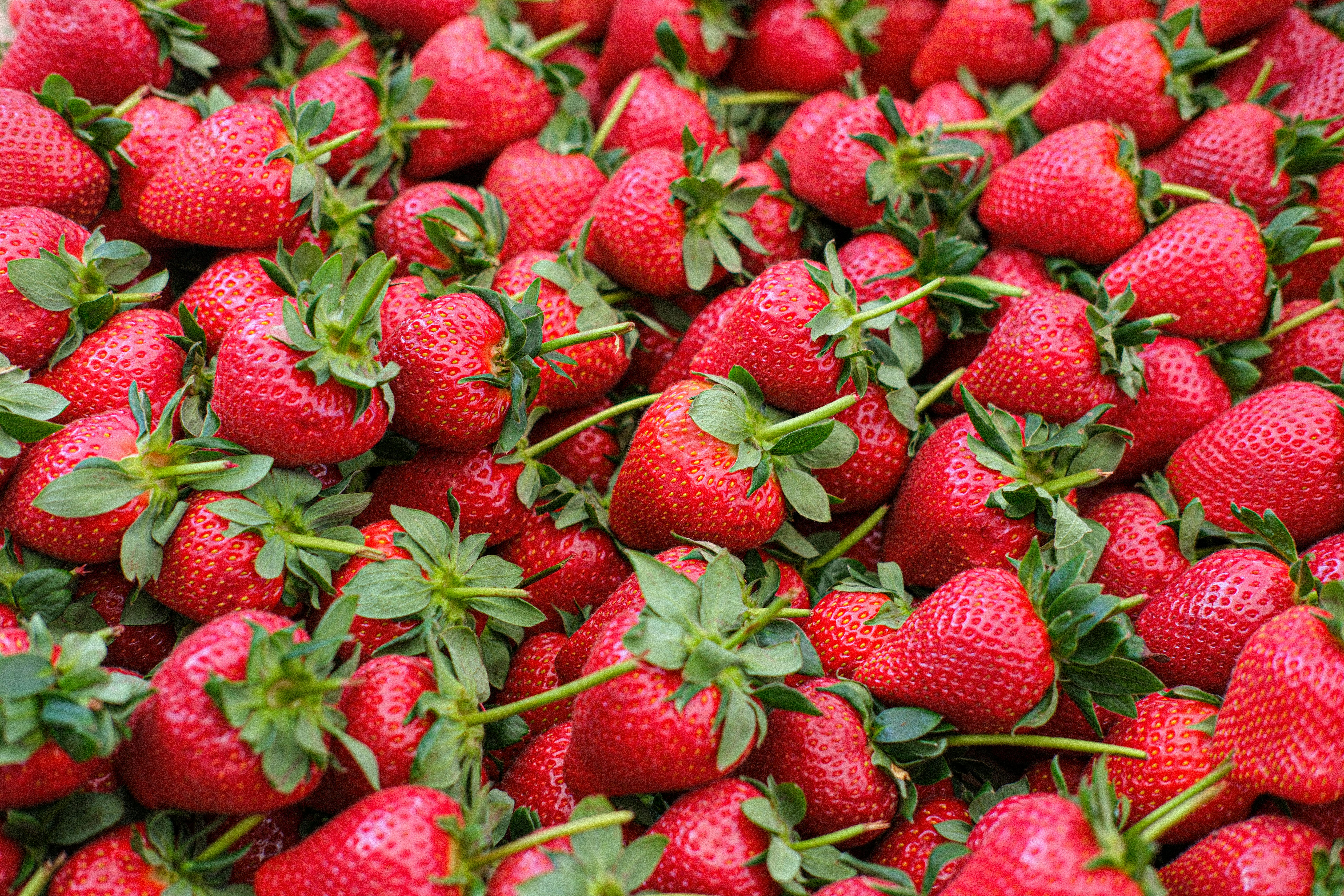 It is time for Strawberry Shortcake!